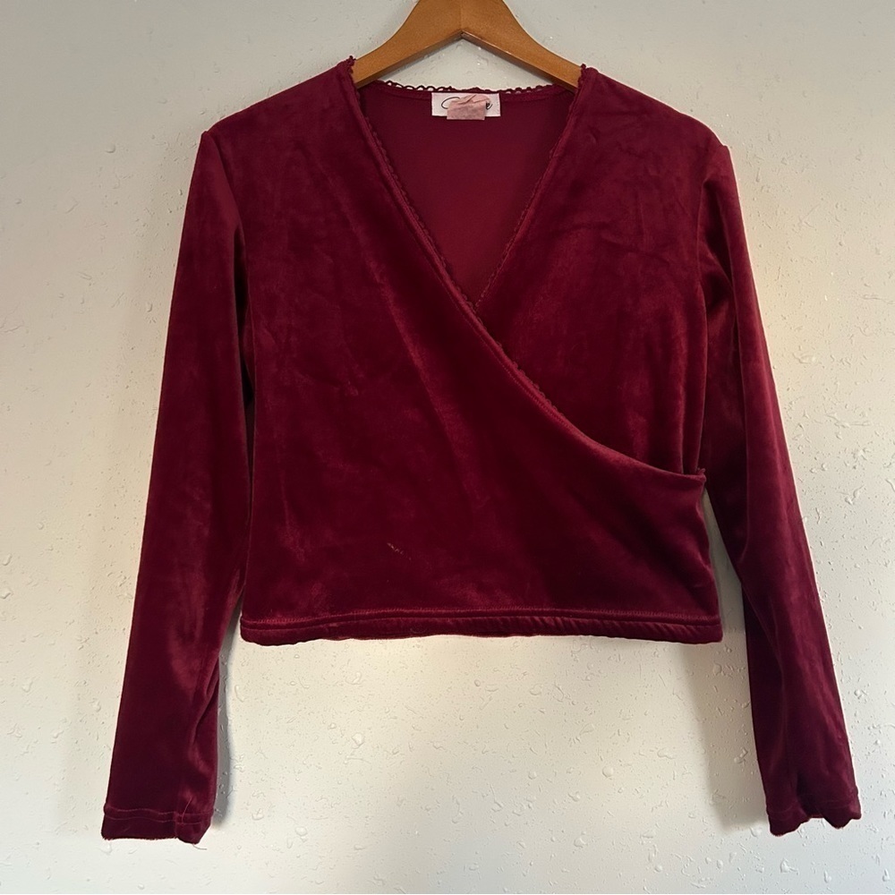 Planet Love Red Velvet V-Neck Long Sleeve Crop Top Medium Holiday Vintage